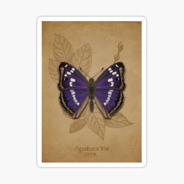 Apatura Iris Sticker