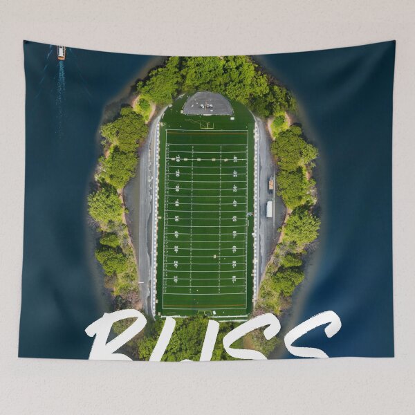 Item preview, Bliss.Enchanting island  with a football field in a scenic locale designed and sold by Moussa  Sussi.
