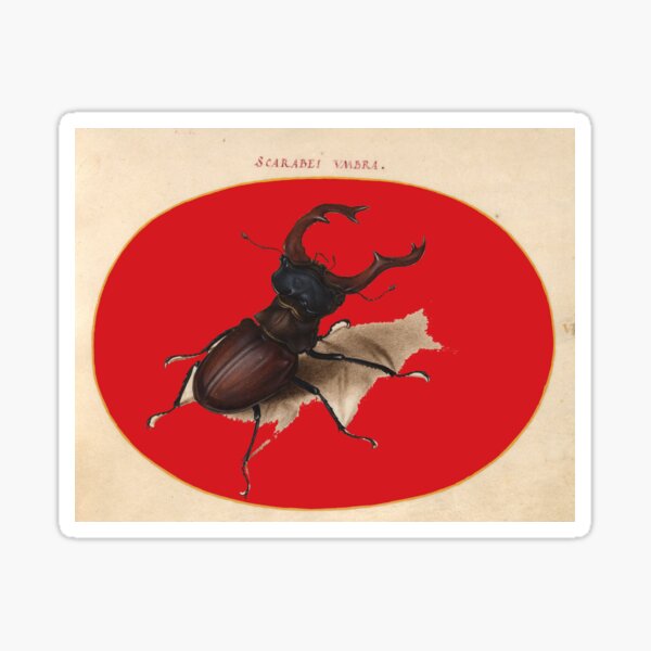 Item preview, Stag Beetle Red designed and sold by MUZA9.