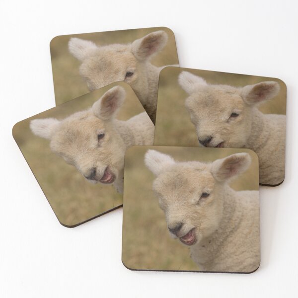 Item preview, little lamb designed and sold by Jon Lees.