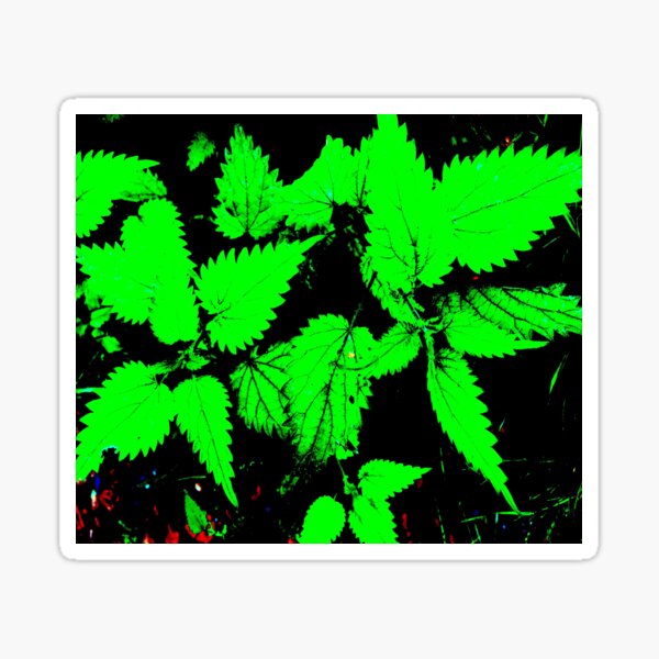 natural nettles design Sticker