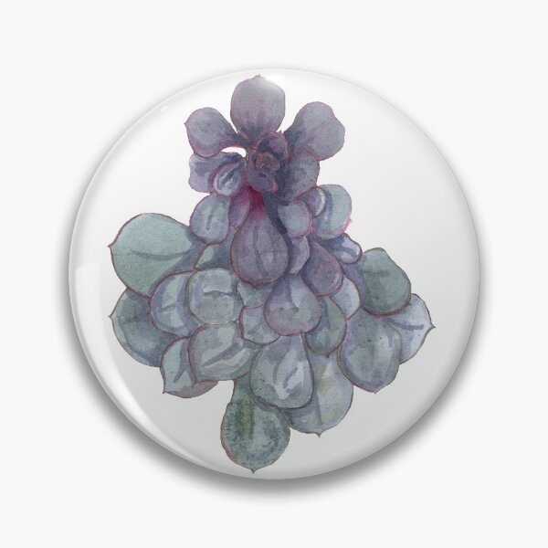 Item preview, Succulent plant designed and sold by norma-jane.