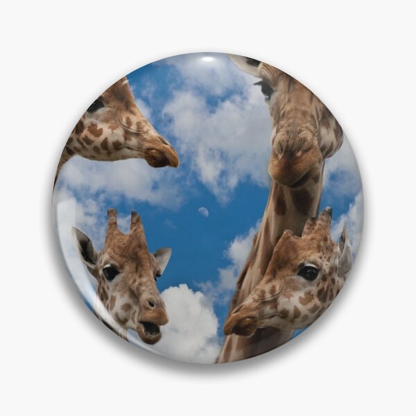 Item preview, Family of Giraffes designed and sold by africanvisuals.
