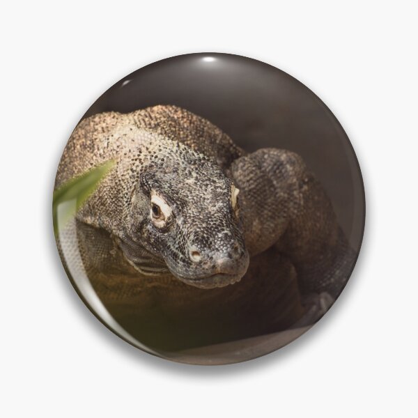 Item preview, Komodo Island monitor dragon walking designed and sold by Zina Stromberg.