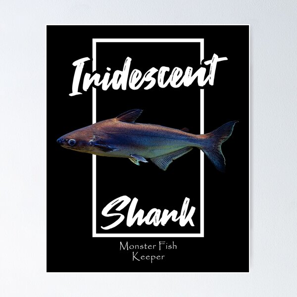 Iridescent Shark Monster Fish Keeper Pangasianodon Hypophthalmus Poster  for Sale by JRRTs