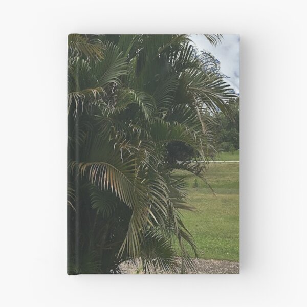 Item preview, Palmera tropical contra las nubes blancas y el cielo azul designed and sold by MimsTees.