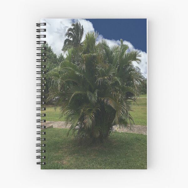 Artikelvorschau, Tropische Palme gegen weiße Wolken und blauen Himmel entworfen und verkauft von MimsTees.
