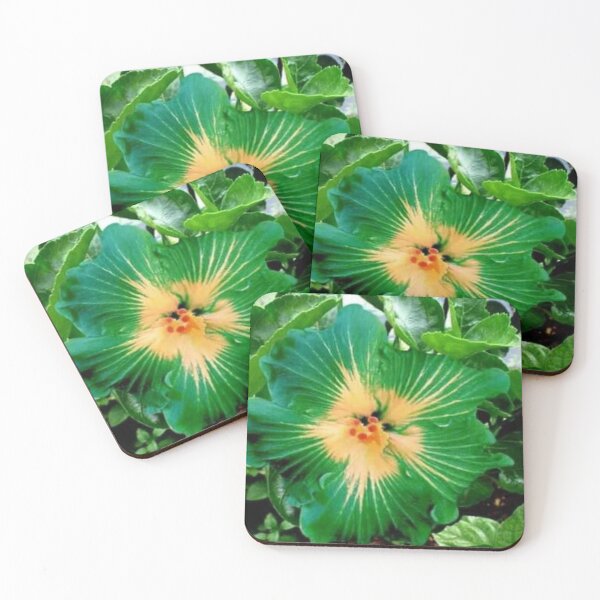 Item preview, Green Hibiscus  designed and sold by Moni3572.