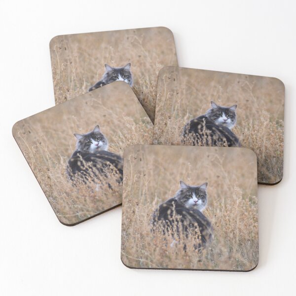 Item preview, Fields of Gold designed and sold by DawnDuBayPhotos.