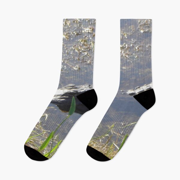 Item preview, Underwater Alligator Florida Wetlands designed and sold by JDMHoney.