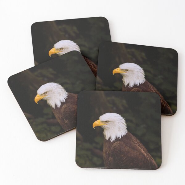 Item preview, Bald Eagle portrait designed and sold by DVart-nz.