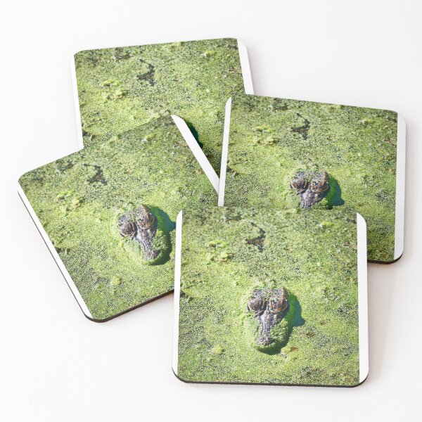 Item preview, Camouflage designed and sold by YelloCoyote Photography.
