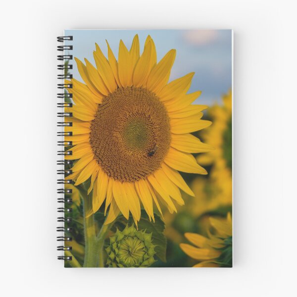Item preview, Large orange sunflower during golden hour designed and sold by VadimK.