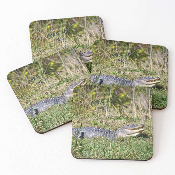 Item preview, American Alligator designed and sold by YelloCoyote Photography.