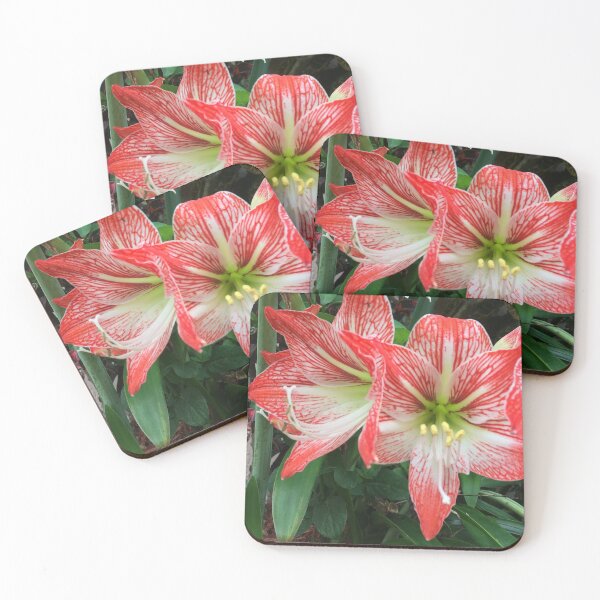 Item preview, Amaryllis Flowers Red designed and sold by JDMHoney.