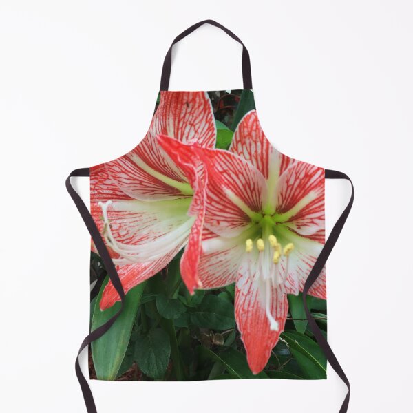 Item preview, Amaryllis Flowers Red designed and sold by JDMHoney.