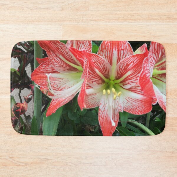 Item preview, Amaryllis Flowers Red designed and sold by JDMHoney.