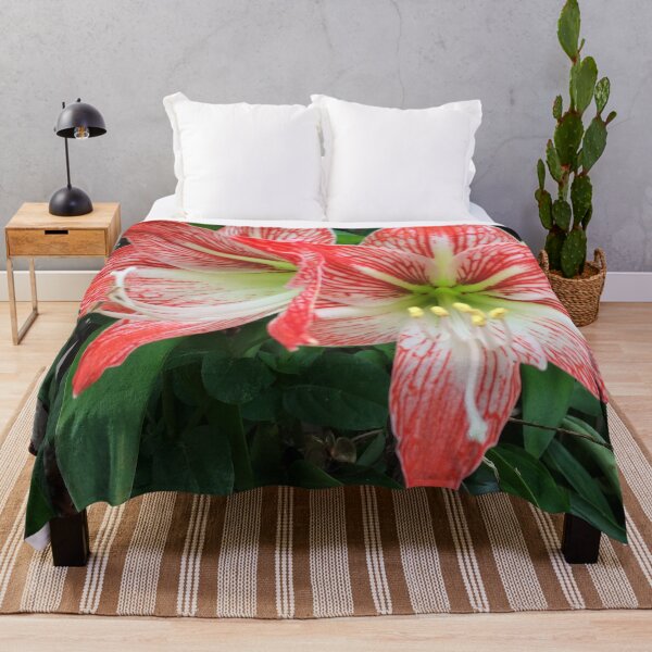 Item preview, Amaryllis Flowers Red designed and sold by JDMHoney.