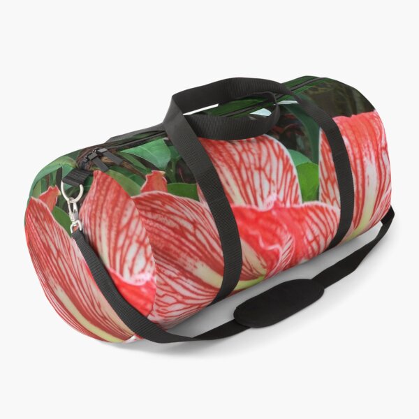 Item preview, Amaryllis Flowers Red designed and sold by JDMHoney.