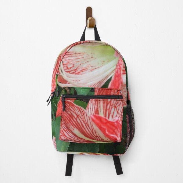 Item preview, Amaryllis Flowers Red designed and sold by JDMHoney.