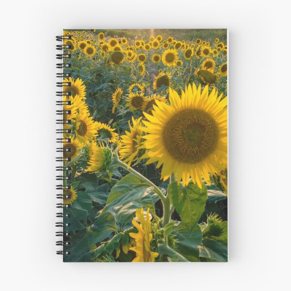 Item preview, Sunflower field at the sunset with a sunray shining from the back designed and sold by VadimK.