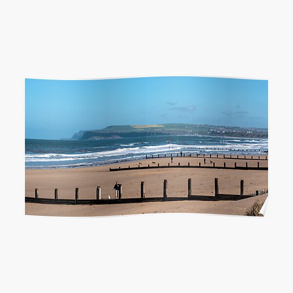 Dog walkers, Redcar beach Poster