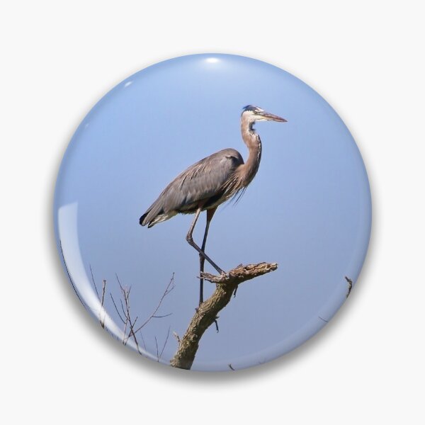 Item preview, Perched designed and sold by YelloCoyote Photography.