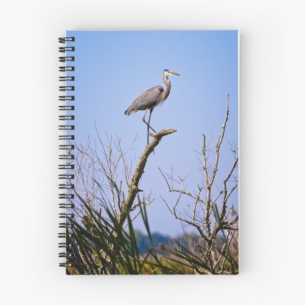 Item preview, Perched designed and sold by YelloCoyote Photography.