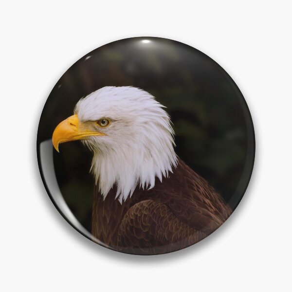 Item preview, Bald Eagle portrait designed and sold by DVart-nz.
