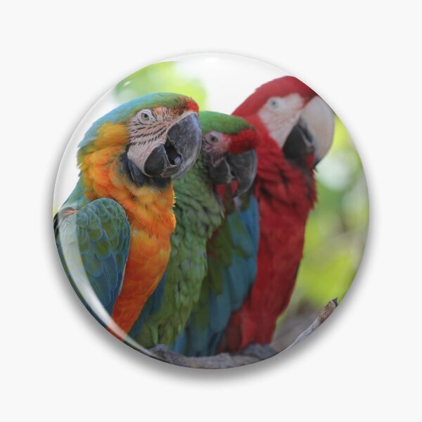 Item preview, Hanging Parrots designed and sold by JDMHoney.