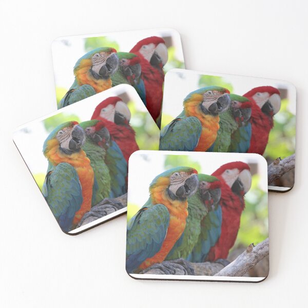 Item preview, Hanging Parrots designed and sold by JDMHoney.