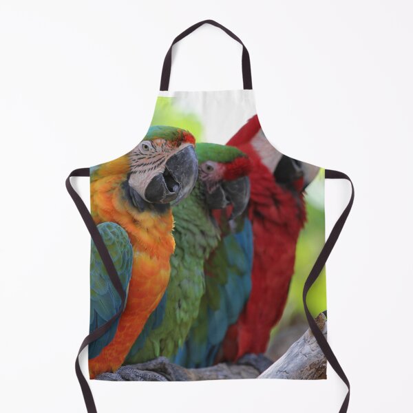 Item preview, Hanging Parrots designed and sold by JDMHoney.