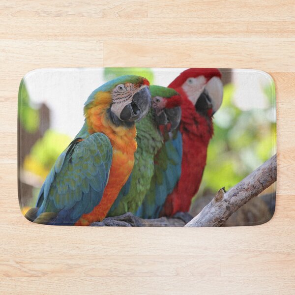Item preview, Hanging Parrots designed and sold by JDMHoney.