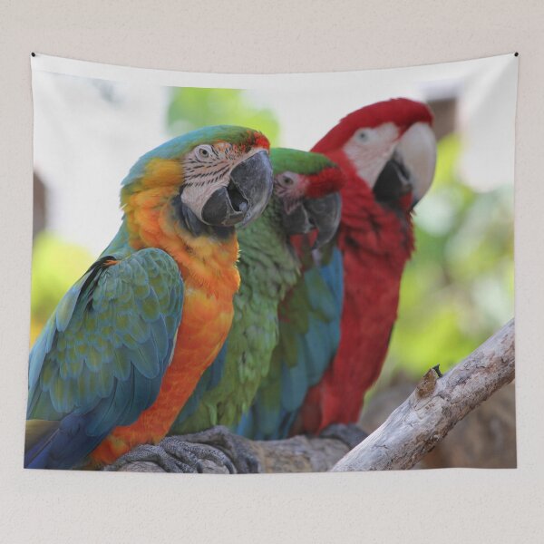 Item preview, Hanging Parrots designed and sold by JDMHoney.