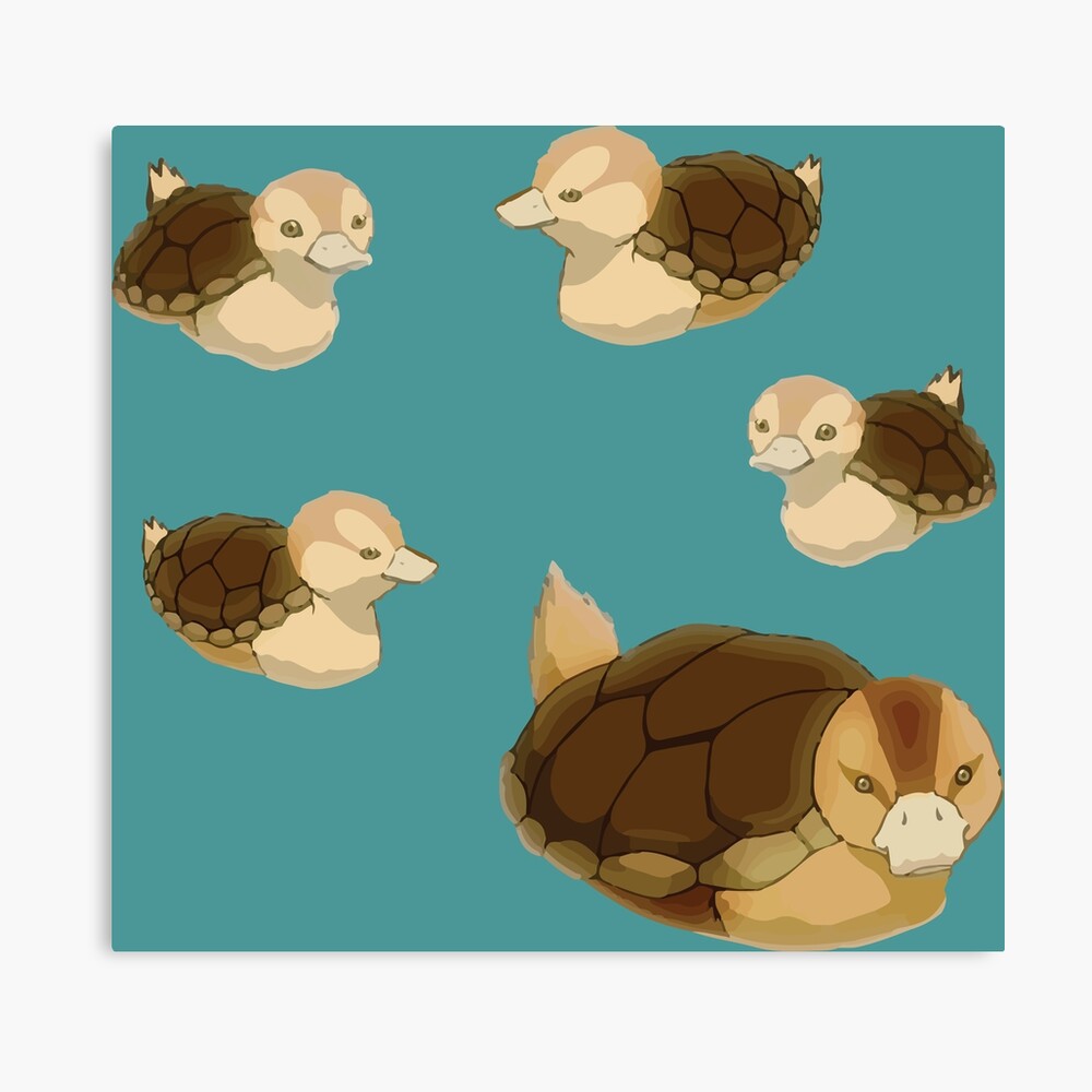 Turtle Duck PACK