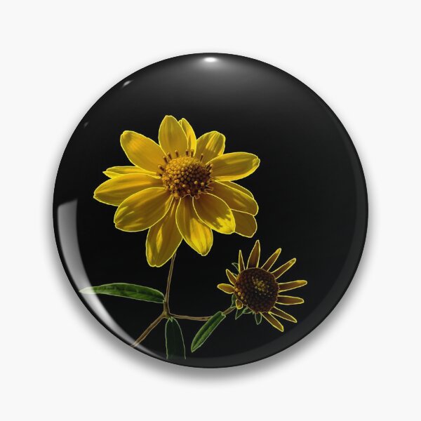 Item preview, Showy Goldeneye designed and sold by Robyn Scully.