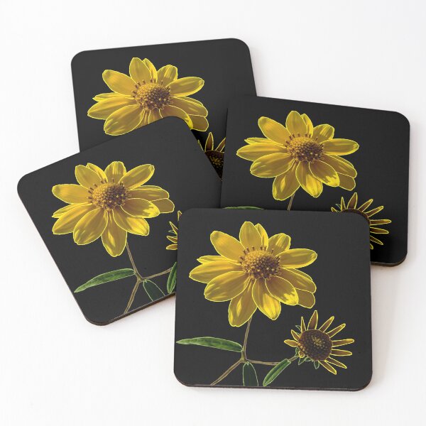 Item preview, Showy Goldeneye designed and sold by Robyn Scully.