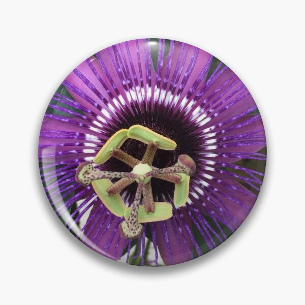 Item preview, Purple Passion Fruit Flower  designed and sold by JDMHoney.
