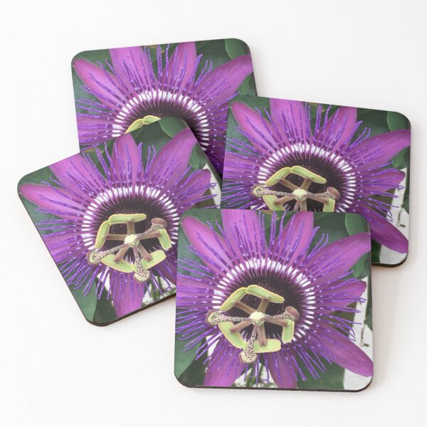 Item preview, Purple Passion Fruit Flower  designed and sold by JDMHoney.