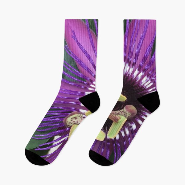 Item preview, Purple Passion Fruit Flower  designed and sold by JDMHoney.