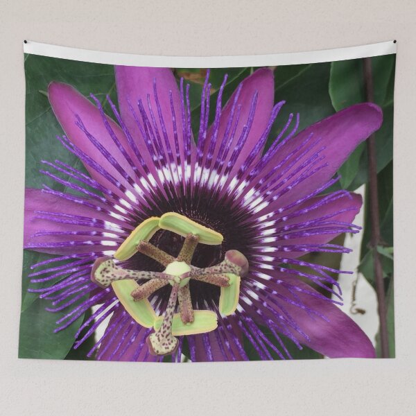 Item preview, Purple Passion Fruit Flower  designed and sold by JDMHoney.