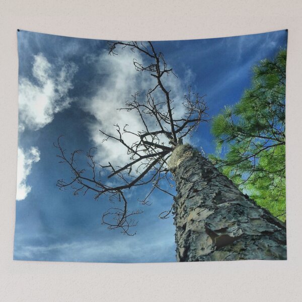 Item preview, Sky Trap designed and sold by Dead-Moroz.