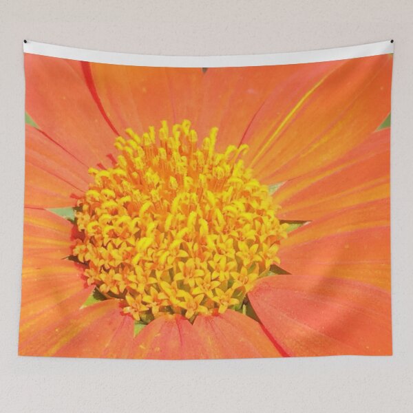 Item preview, Mexican Sunflower | Orange sunflower designed and sold by JDMHoney.