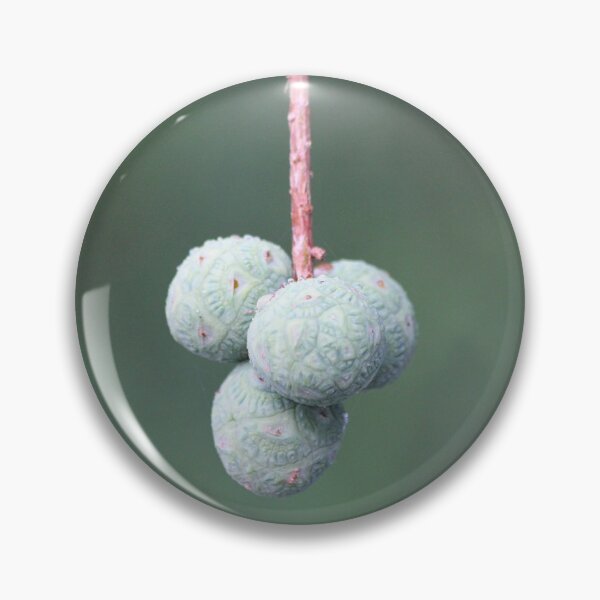 Item preview, Hanging Fruit designed and sold by JDMHoney.