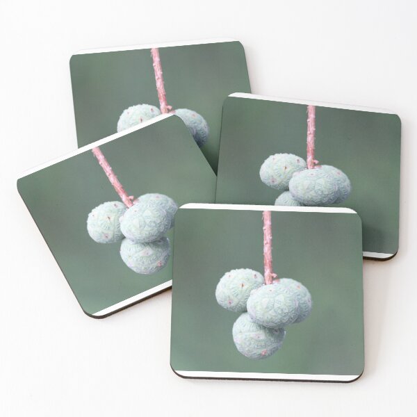 Item preview, Hanging Fruit designed and sold by JDMHoney.
