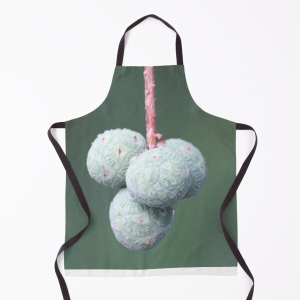 Item preview, Hanging Fruit designed and sold by JDMHoney.