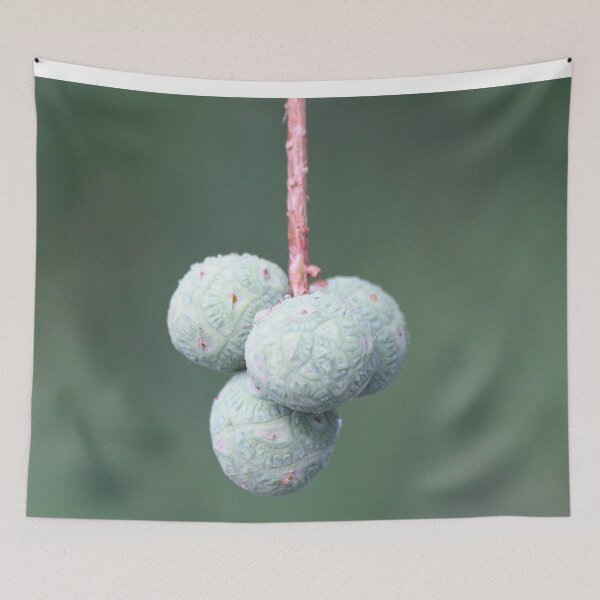 Item preview, Hanging Fruit designed and sold by JDMHoney.