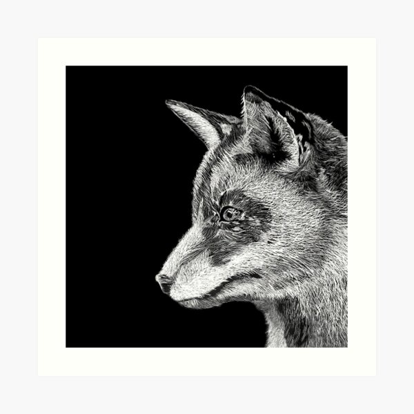 Fox Art Print