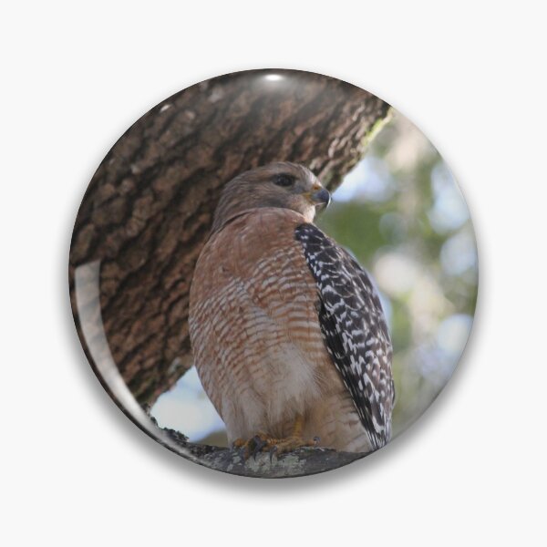 Item preview, Hawk designed and sold by JDMHoney.