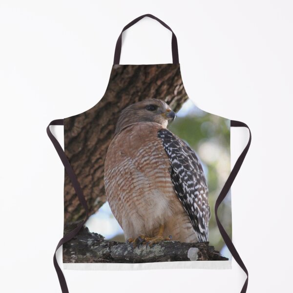 Item preview, Hawk designed and sold by JDMHoney.